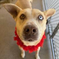 Thumbnail photo of Hans #1