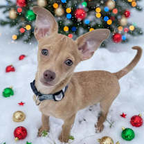 Thumbnail photo of Brooks #1