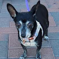 Thumbnail photo of DIAMOND #1