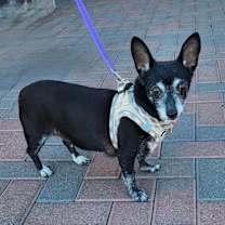 Thumbnail photo of DIAMOND #3