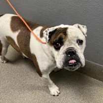 Thumbnail photo of EGGROLL #3