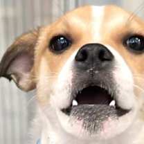 Thumbnail photo of UNO #1