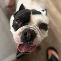 Thumbnail photo of Jumba jumby #1