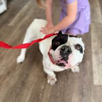 Thumbnail photo of Jumba jumby #3