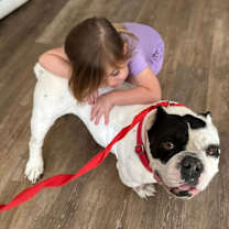 Thumbnail photo of Jumba jumby #4