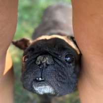 Thumbnail photo of Mr. Pope #2