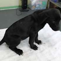 Thumbnail photo of Daypixie #3