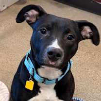 Thumbnail photo of Baklava III 125 #1