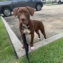 Thumbnail photo of Flash Drive #1