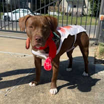 Thumbnail photo of Flash Drive #2