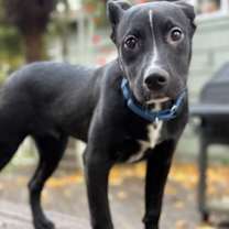 Thumbnail photo of Sprawl #2