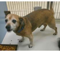 Thumbnail photo of Charlie #1