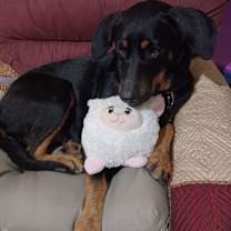 Thumbnail photo of Minnie Mae #1