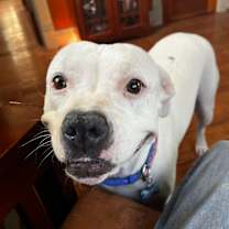 Thumbnail photo of Charlie #1