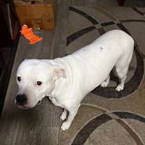 Thumbnail photo of Charlie #2