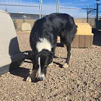 Thumbnail photo of Kronk #2