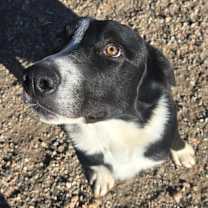 Thumbnail photo of Kronk #3