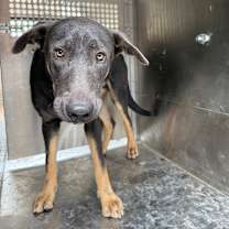 Thumbnail photo of Steve #2