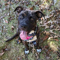 Thumbnail photo of Twix #2