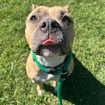 Thumbnail photo of Sera #2