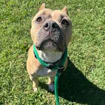 Thumbnail photo of Sera #3