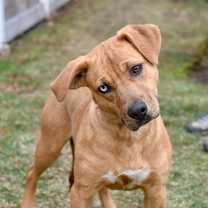 Thumbnail photo of Autumn #1