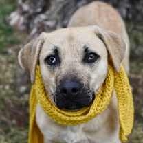 Thumbnail photo of Harvest #1