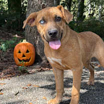 Thumbnail photo of Autumn #3