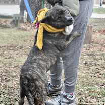 Thumbnail photo of Sienna #2