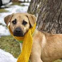 Thumbnail photo of Harvest #2