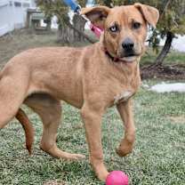 Thumbnail photo of Autumn #4