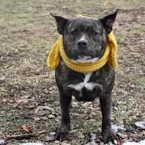 Thumbnail photo of Sienna #3