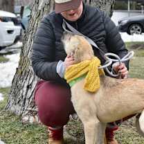 Thumbnail photo of Harvest #3