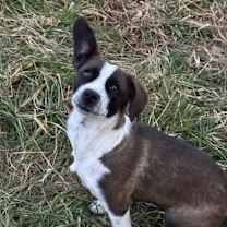 Thumbnail photo of Jingle #1