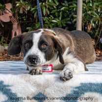 Thumbnail photo of Jingle #4