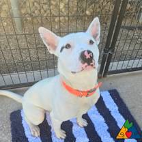 Thumbnail photo of Doug #2