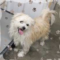 Thumbnail photo of Tyler #1