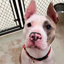 Thumbnail photo of Mila #1