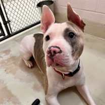 Thumbnail photo of Mila #3