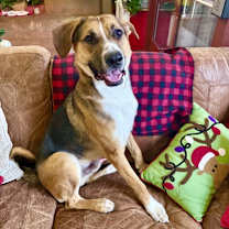 Thumbnail photo of Ponca #1