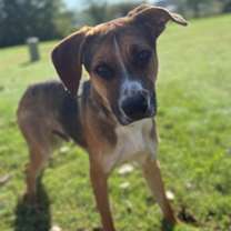 Thumbnail photo of Ponca #3