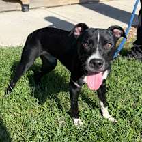 Thumbnail photo of Watermelon #3