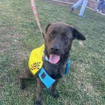 Thumbnail photo of TORO #1