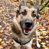 Thumbnail photo of Jax #2