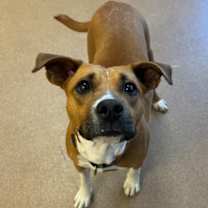 Thumbnail photo of Emma #3