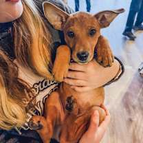 Thumbnail photo of 893 (2025) Cole #1