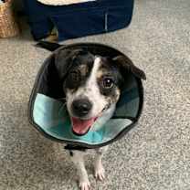 Thumbnail photo of Noel Claire #1