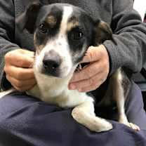 Thumbnail photo of Noel Claire #2