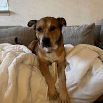 Thumbnail photo of Catero #3