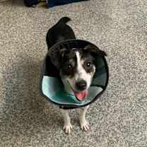 Thumbnail photo of Noel Claire #4